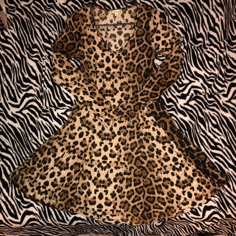 Long Sleeve Cheetah Print Skater Dress.